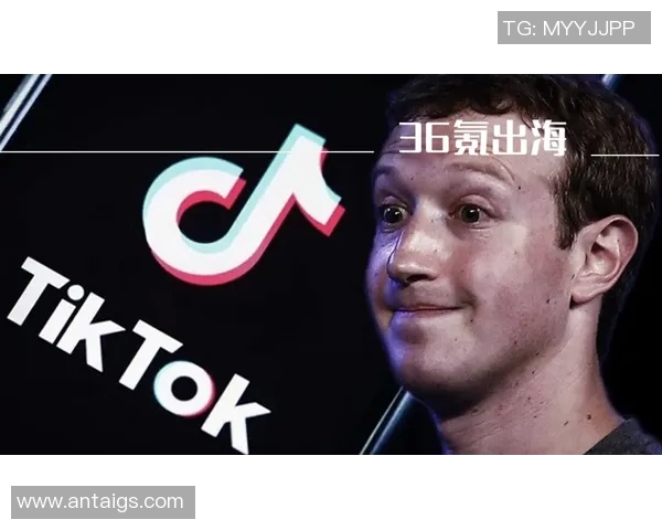 全国wtf比赛-全国WTF比赛，激情与技术的碰撞-全国wtf比赛